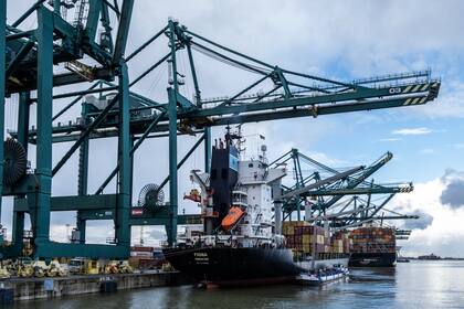 El año pasado se decomisaron 116 toneladas de cocaína en el puerto belga de Amberes. (Virginie Nguyen/The New York Times)