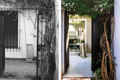 El añoso jazmín (planta que se conservó del original) forma una pérgola que perfuma la llegada. Como la seguridad queda a cargo del nuevo portón, se pudieron hacer grandes ventanales al patio.