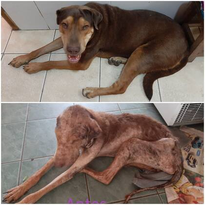 El antes y después de Sansón.