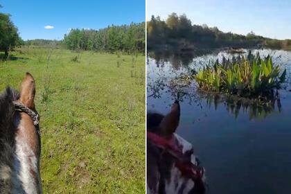 El antes y después de la inundación en un campo de San Pedro, en la provincia de Buenos Aires