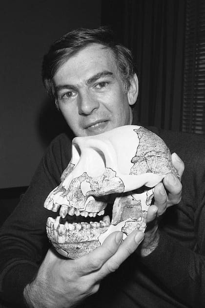 El antropólogo Donald Johanson, descubridor de los huesos fosilizados más antiguos de humanos que caminaban erguidos, muestra el cráneo de yeso de "Lucy".