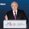 El trigo se desplomó US$12 tras una señal de Putin y el mercado argentino quedó bajo presión
