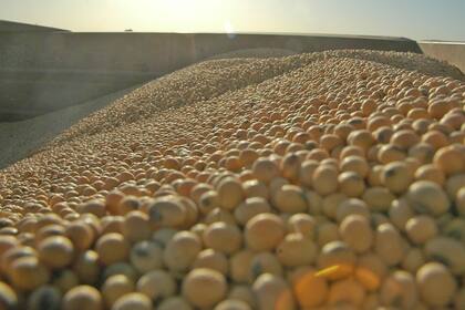 El anuncio por las retenciones impactó con una baja en el mercado local