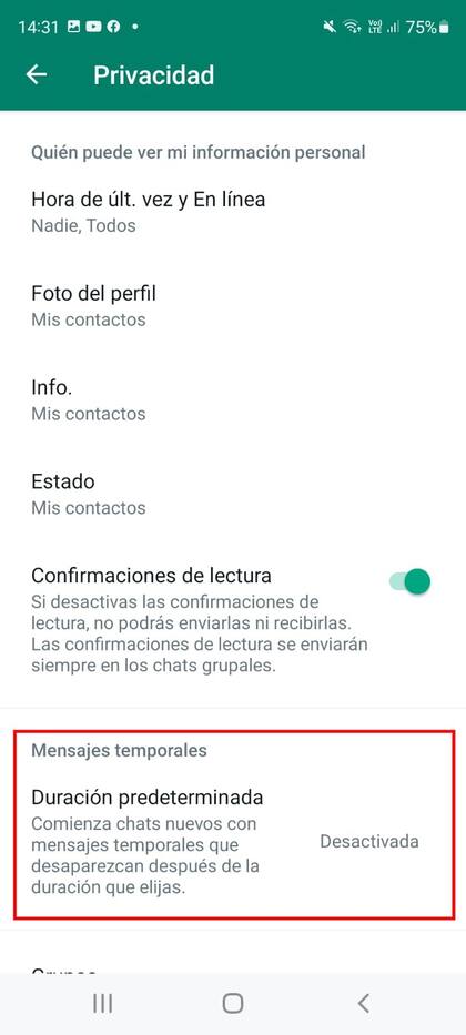 El apartado para seleccionar los mensajes temporales está dentro del ítem "Privacidad"
