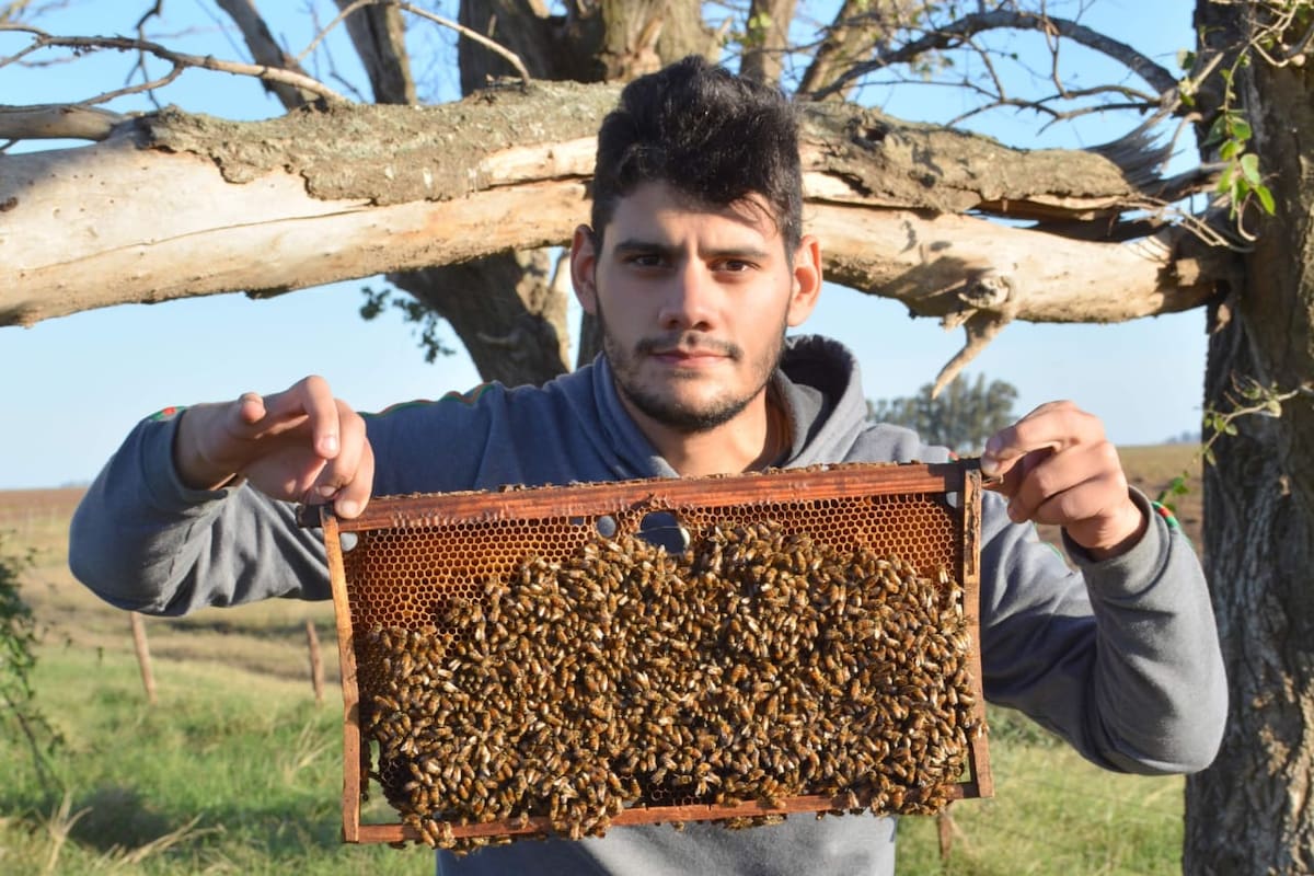 El apicultor Franco Bruno