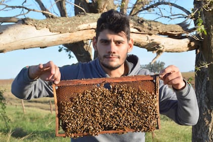 El apicultor Franco Bruno