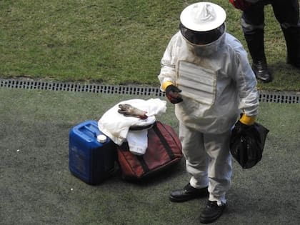 El apicultor intenta alejar a las abejas del banco de suplentes visitante del Arena Palmeiras