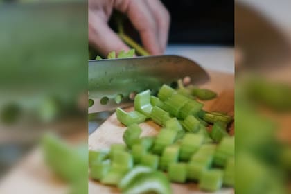 El apio contiene flavonoides, antioxidantes como la miricetina, quecetina y kaempferol que tienen varias funciones biológicas (Foto Pexels)
