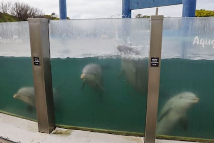 El Aquarium cerró en marzo del 2025