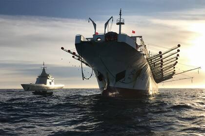 El ARA Bouchard escolta a un barco pesquero chino tras ser detectado pescando ilegalmente en aguas argentinas, en mayo de 2020