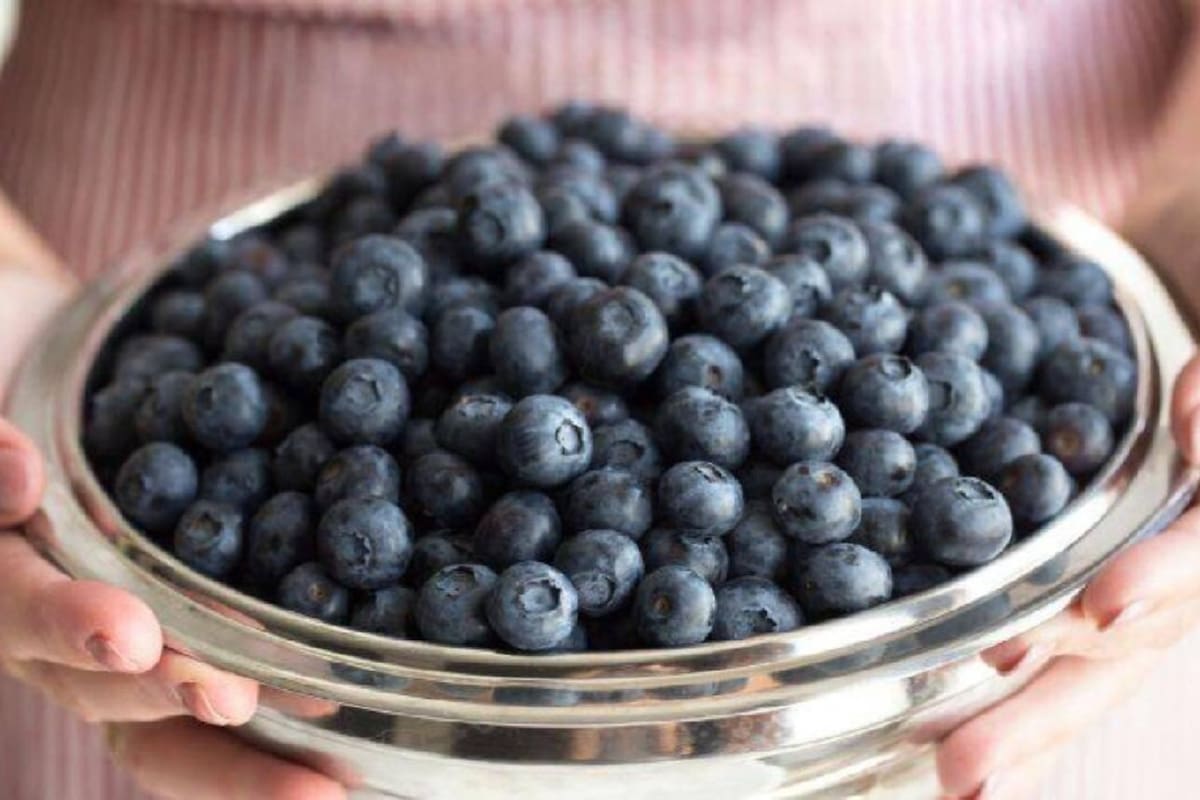 El arándano es un fruto rico en antioxidantes, gracias a su combinación de ácidos orgánicos con antocianinas. (Foto: iStock)