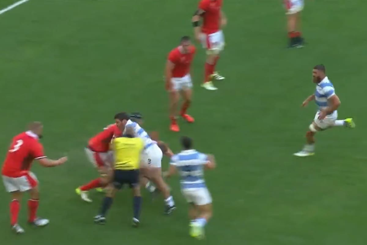 El árbitro Jaco Peyper quedó en medio de una jugada y se lesionó