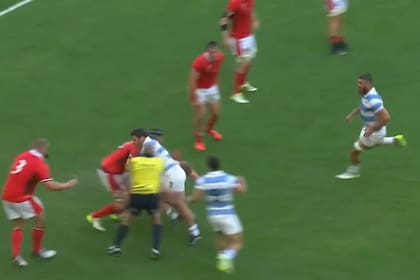 El árbitro Jaco Peyper quedó en medio de una jugada y se lesionó