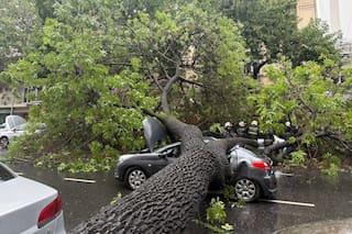 Un árbol cayó durante la tormenta, aplastó varios autos y hay tres heridos