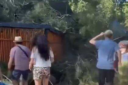 El árbol cayó sobre personas que recorrían el Jardín Japonés