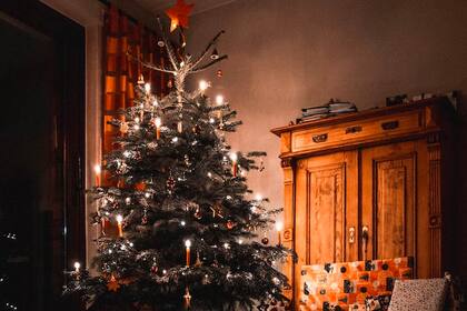 El árbol de Navidad, una tradición que recorre el mundo