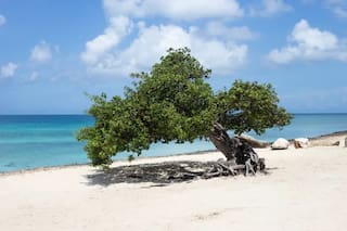 Este es el destino más seguro del Caribe que lidera un nuevo ranking internacional