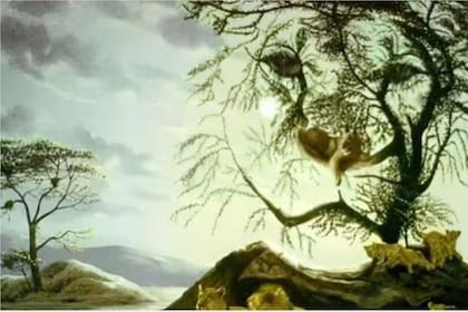 ¿El árbol o el león? La ilusión óptica que tomó gran repercusión en las redes y obliga a elegir una opción para conocer la personalidad de las personas