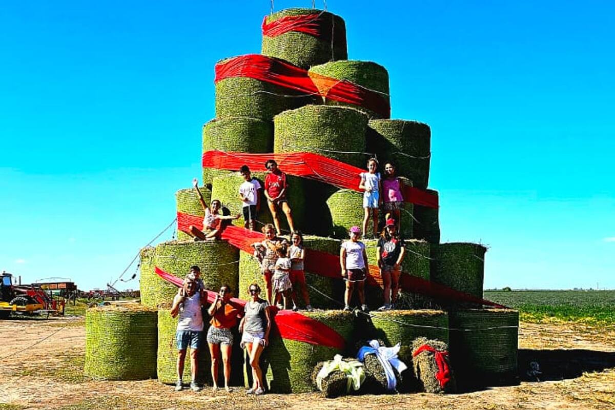El árbol que construyó a familia