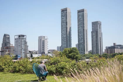 El arbolado urbano y los edificios emblemáticos de la zona funcionan como paisaje prestado y nutren la vista desde la terraza.