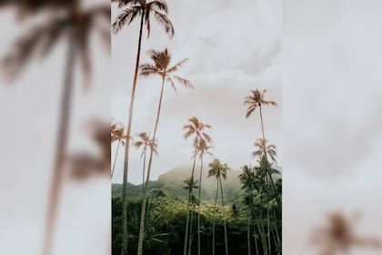 El archipiélago es parte de EE.UU (Foto Unsplash)