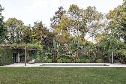El área de césped central es un espacio de juego; y al fondo, la pileta enmarcada con un ritmo de strelitzias y buxus podados y el “paisaje prestado” que incorpora añosos árboles de terrenos vecinos. Simple y elegante a la vez