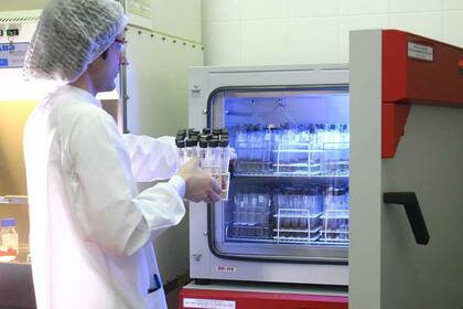 El área de control de calidad en el laboratorio