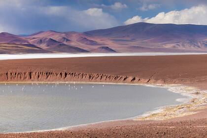El área de la Laguna Brava está ubicada en el extremo noroeste de La Rioja