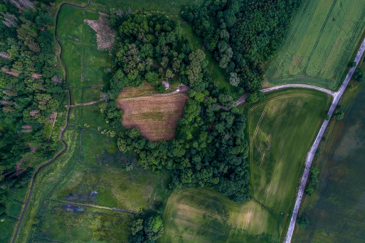 El área donde se encontraron los restos mide 1,5 kilómetros