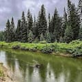 Compraron un campo y crearon una reserva natural sobre un río