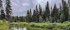 Compraron un campo y crearon una reserva natural sobre un río