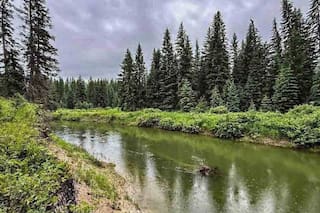 Compraron un campo y crearon una reserva natural sobre un río