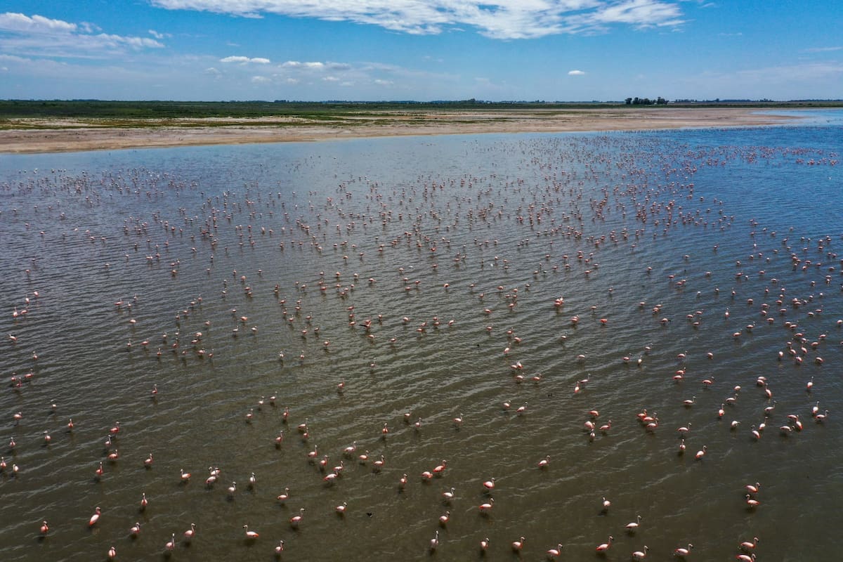 El área protegida es uno de los sitios más importantes para la conservación de las aves del Centro del país