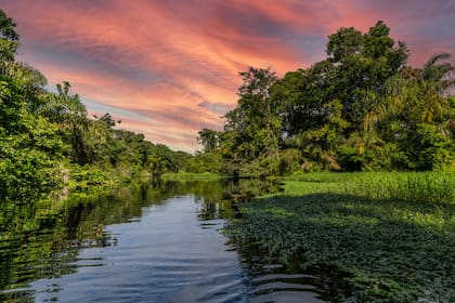 El área protegida está fuera de los destinos clásicos costarricenses