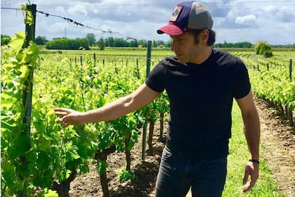 El argentino Alejandro López recorre los viñedos en Caudrot, Francia