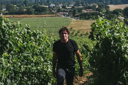 En Caudrot, Francia encontró la posibilidad de que su idea tome cuerpo y hoy hace cuatro años explota 18 hectáreas de viñedos donde produce 125 mil botellas de vino por año.
