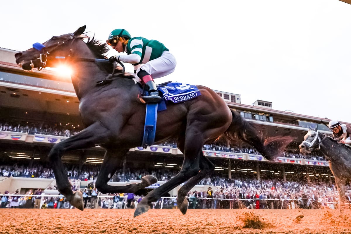 El argentino Full Serrano, conducido por Joel Rosario, voló a la victoria en la Dirt Mile de la Breeders’ Cup en Del Mar, en el cierre de la serie