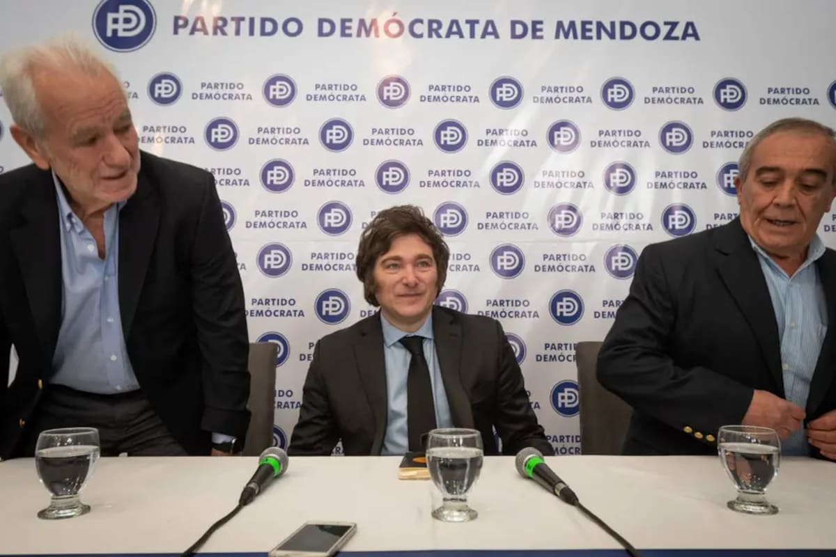 El armado del libertario tiene en el Partido Demócrata a una de sus principales patas