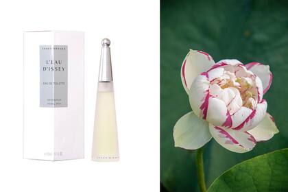 El aroma de la rosa y el loto se funden en este perfume que remite a un bosque en primavera