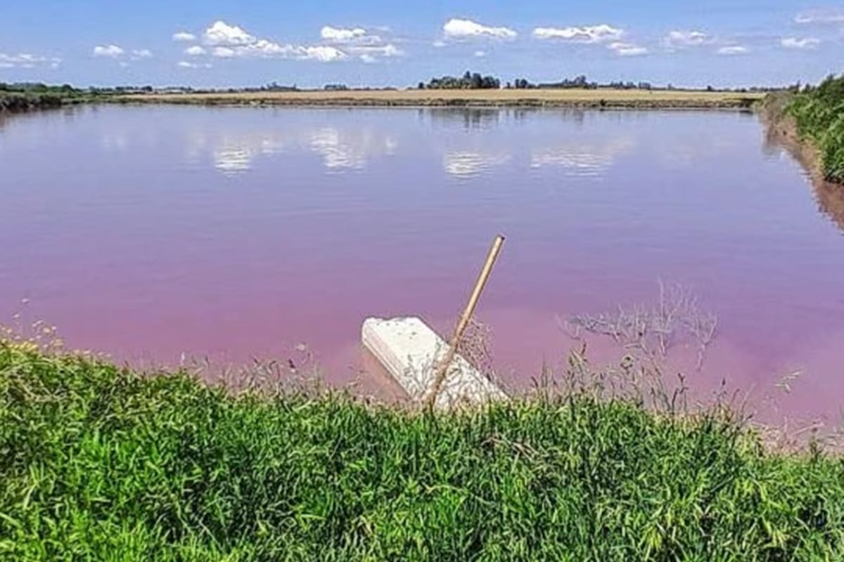 El arroyo Espinillo se tiñó de rojo y los especialistas analizan las causas