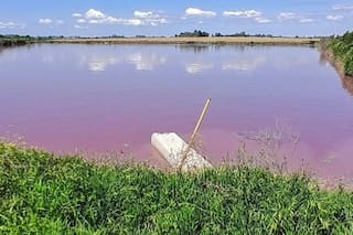 Alerta por un arroyo que se tiñó de rojo en Entre Ríos: investigan una posible bacteria en el agua