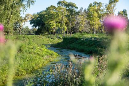 El arroyo que cruza al emprendimiento ubicado en PIlar