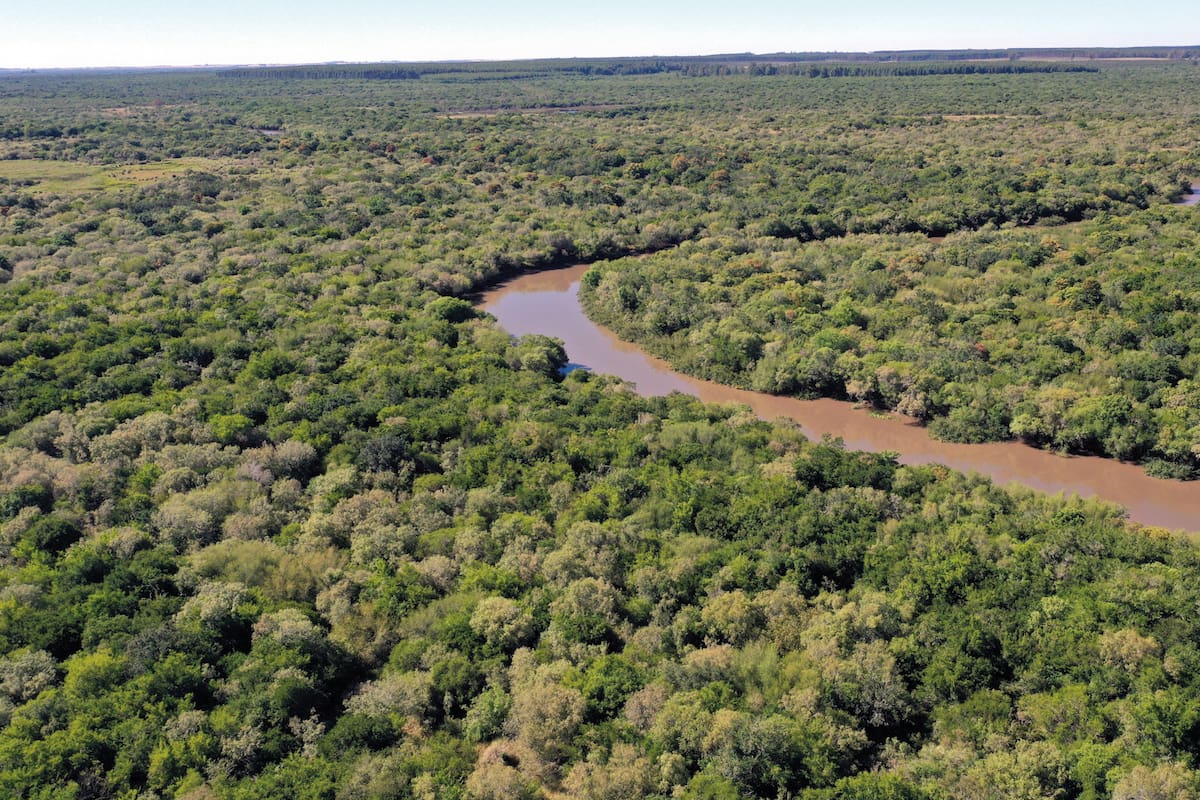 El arroyo San Lorenzo atraviesa el pulmón verde de El Potrero