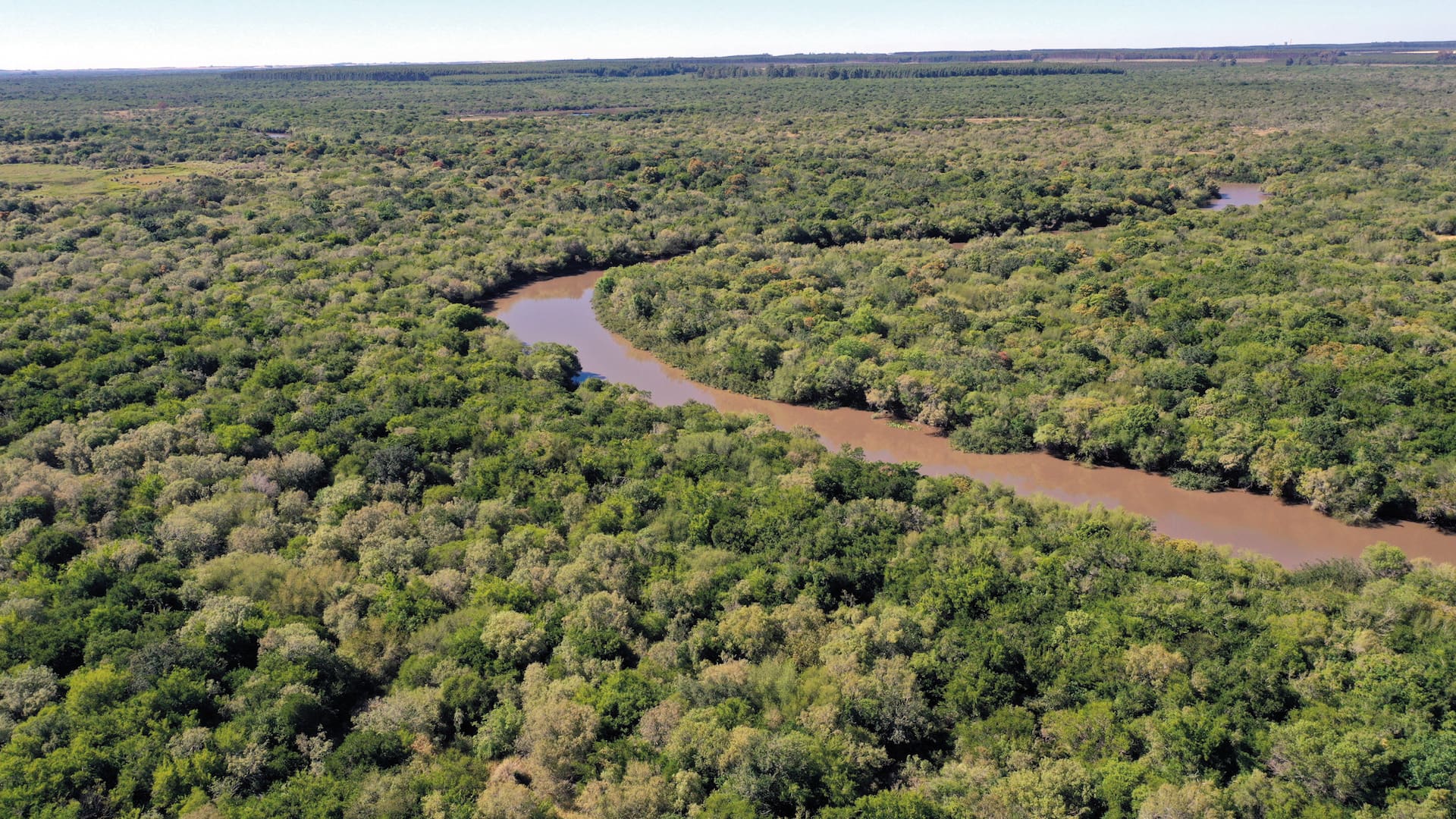 El arroyo San Lorenzo atraviesa el pulmón verde de El Potrero