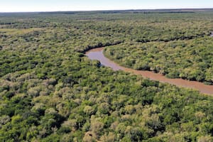 El arroyo San Lorenzo atraviesa el pulmón verde de El Potrero