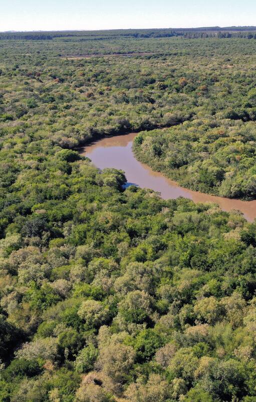El arroyo San Lorenzo atraviesa el pulmón verde de El Potrero