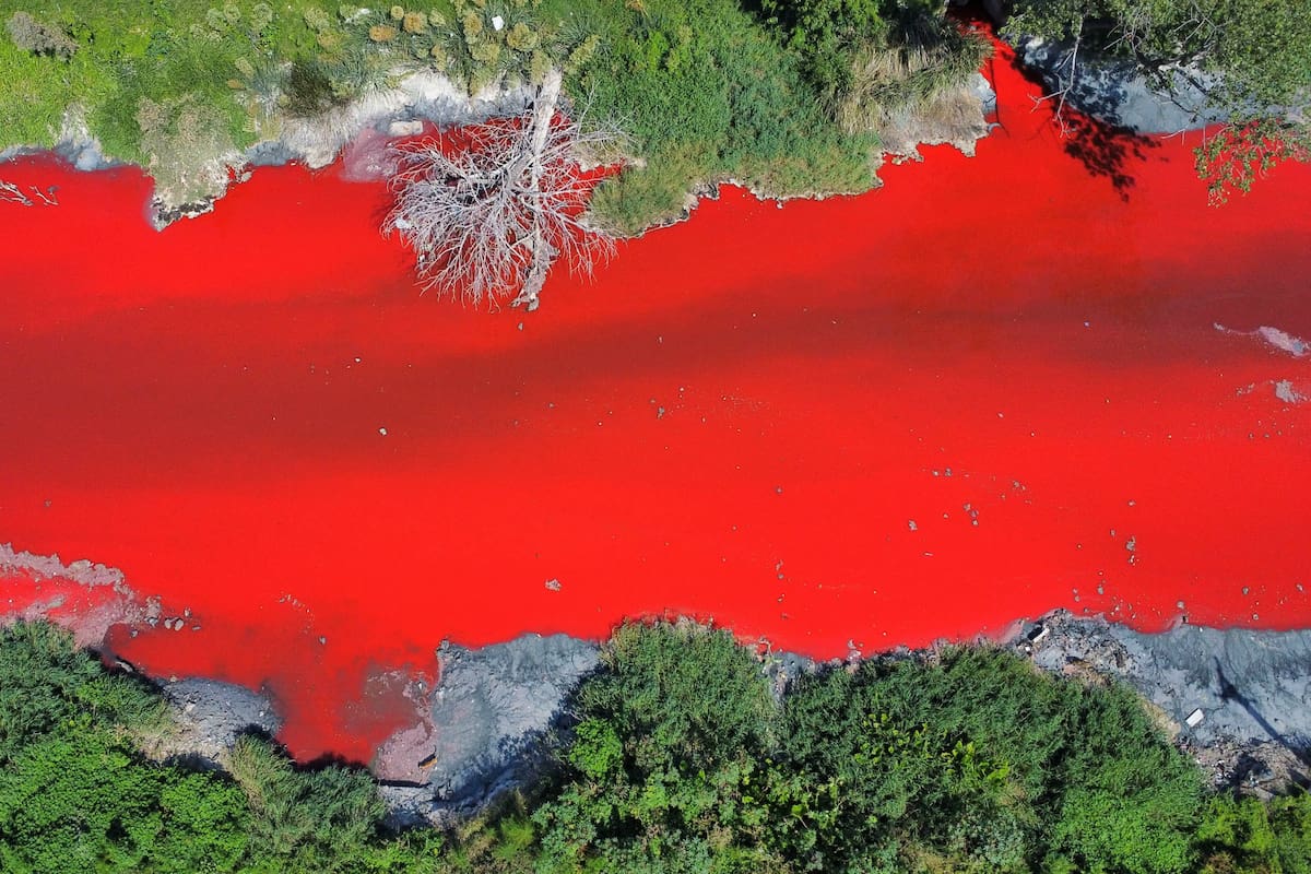 El arroyo Sarandí, ayer, teñido de rojo