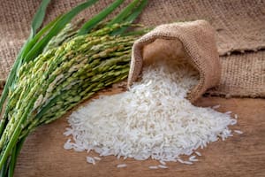 El arroz ofrece un sinfín de beneficios a la salud
