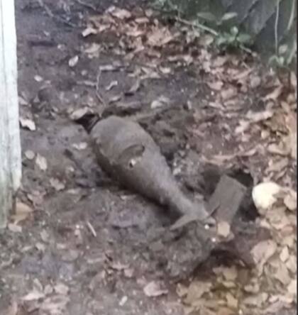 El artefacto sin detonar que encontró el animal
