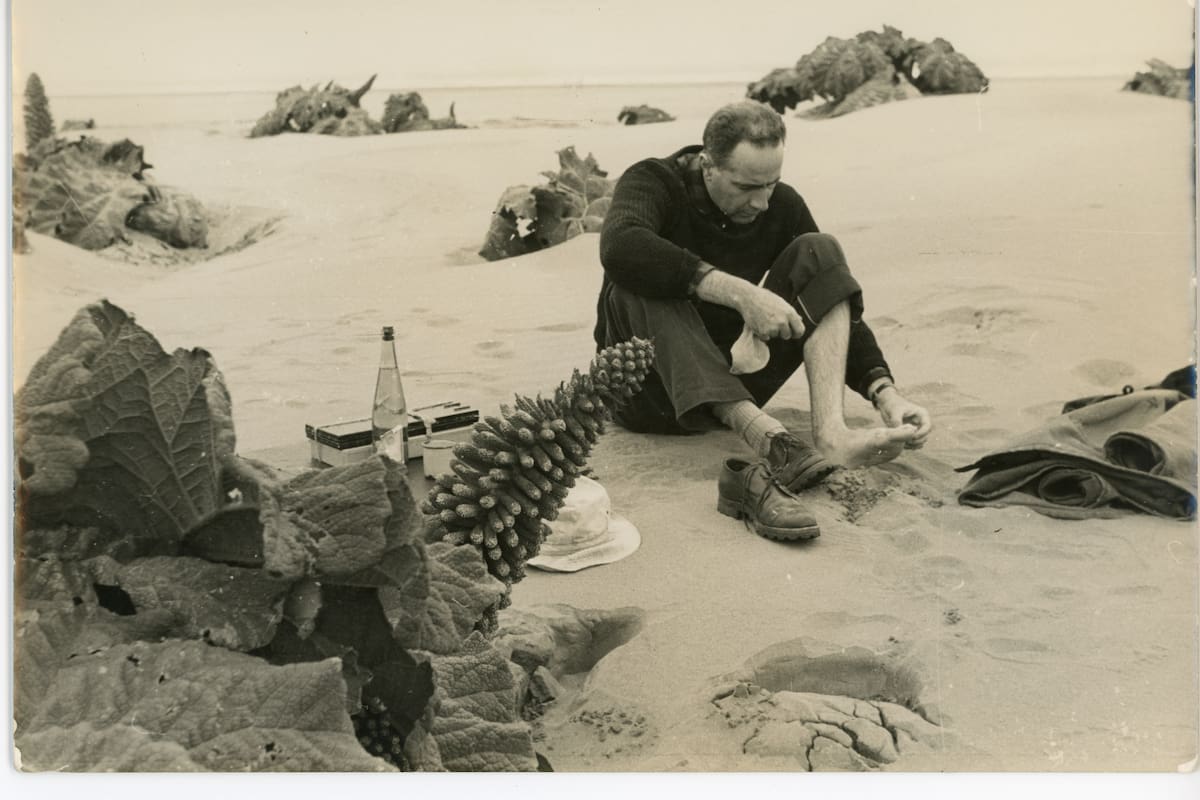 El artista chileno Nemesio Antúnez, en Chiloé